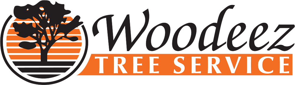 Woodeez company logo in full color